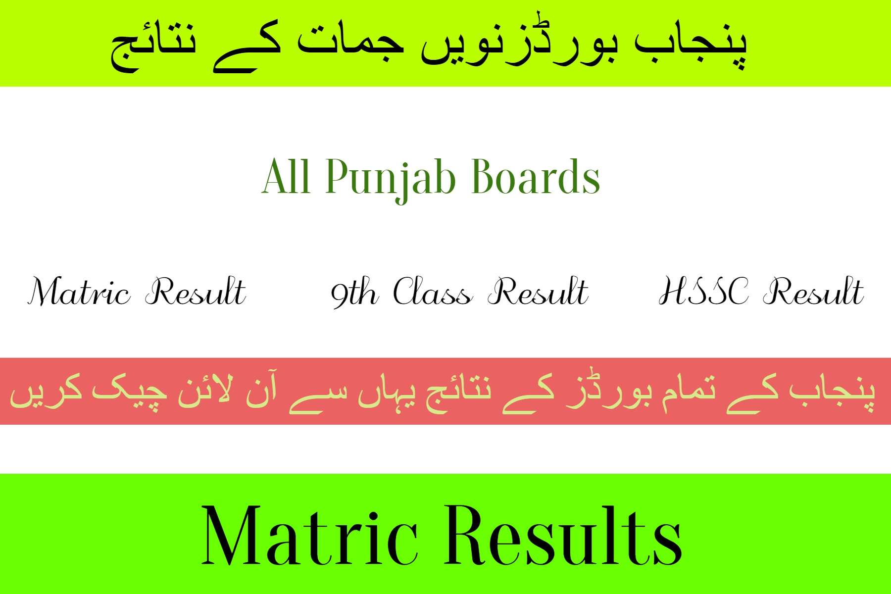 All Punjab 9th Result 2024